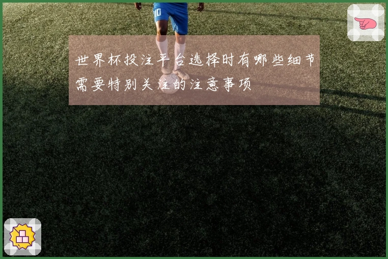 世界杯投注平台选择时有哪些细节需要特别关注的注意事项