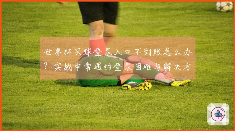 世界杯买球登录入口不到账怎么办？实战中常遇的登录困难与解决方案