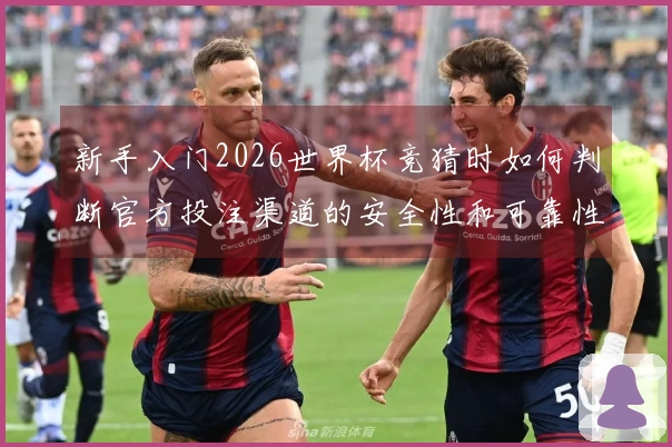 新手入门2026世界杯竞猜时如何判断官方投注渠道的安全性和可靠性