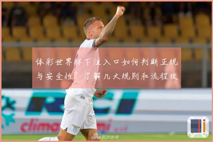 体彩世界杯下注入口如何判断正规与安全性？了解几大规则和流程攻略