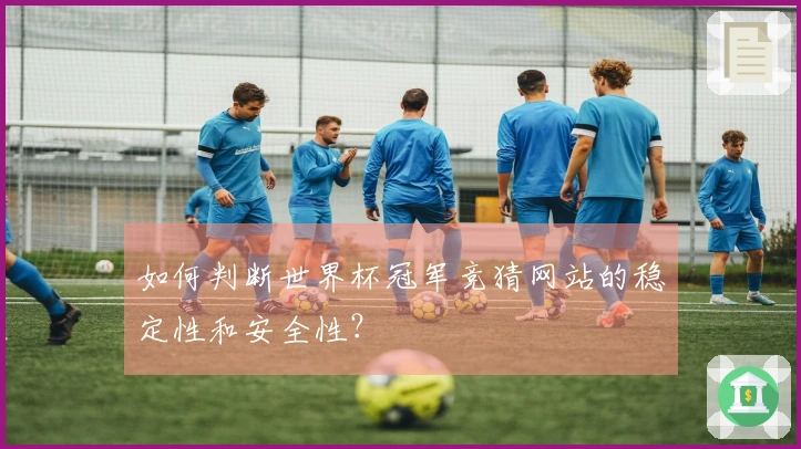 如何判断世界杯冠军竞猜网站的稳定性和安全性？